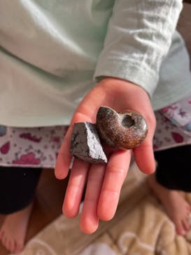 Discovery Worldに投稿された画像（2024/11/9）