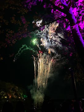 ムーミンバレーパークに投稿された画像（2024/11/9）