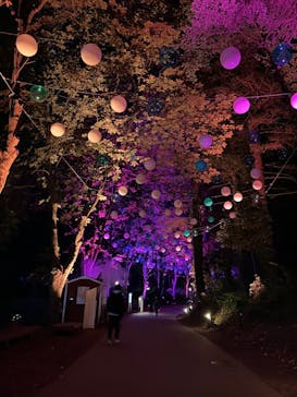 ムーミンバレーパークに投稿された画像（2024/11/9）