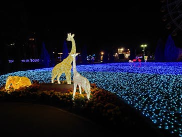 東武動物公園に投稿された画像（2024/11/9）