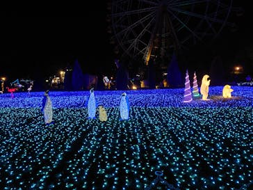 東武動物公園に投稿された画像（2024/11/9）