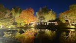 国営昭和記念公園 秋の夜散歩に投稿された画像（2024/11/10）