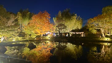 国営昭和記念公園 秋の夜散歩に投稿された画像（2024/11/9）