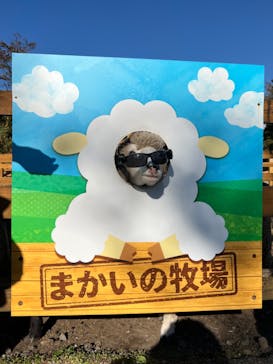 まかいの牧場に投稿された画像（2024/11/9）