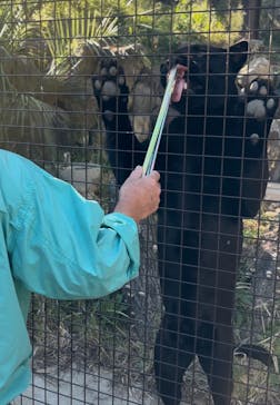 名古屋市東山動植物園に投稿された画像（2024/11/9）