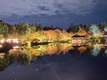 国営昭和記念公園 秋の夜散歩に投稿された画像（2024/11/10）