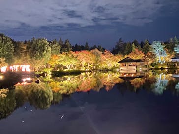 国営昭和記念公園 秋の夜散歩に投稿された画像（2024/11/9）