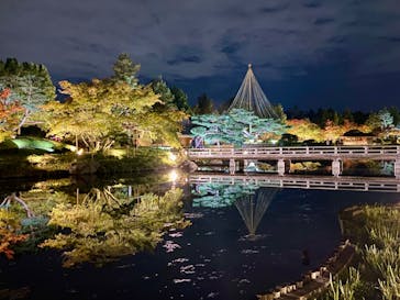 国営昭和記念公園 秋の夜散歩に投稿された画像（2024/11/9）