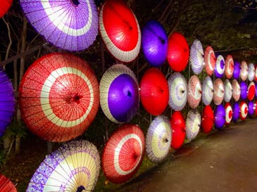 国営昭和記念公園 秋の夜散歩に投稿された画像（2024/11/9）