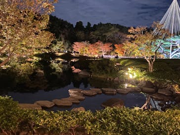 国営昭和記念公園 秋の夜散歩に投稿された画像（2024/11/9）