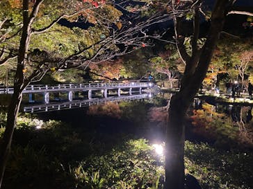 国営昭和記念公園 秋の夜散歩に投稿された画像（2024/11/9）