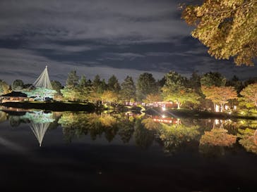 国営昭和記念公園 秋の夜散歩に投稿された画像（2024/11/9）