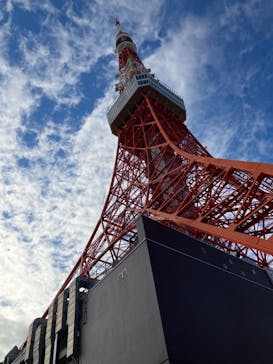 東京タワーに投稿された画像（2024/11/9）