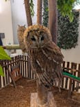 Moff animal cafe イオンモール幕張新都心店に投稿された画像（2024/11/10）