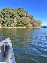 富士漫遊社に投稿された画像（2024/11/9）