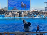 名古屋港水族館に投稿された画像（2024/11/10）