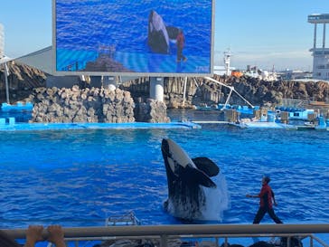 名古屋港水族館に投稿された画像（2024/11/9）