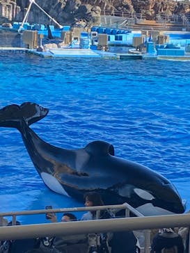名古屋港水族館に投稿された画像（2024/11/9）