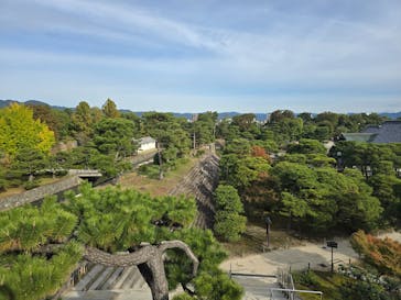 元離宮二条城に投稿された画像（2024/11/10）