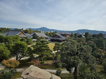 元離宮二条城に投稿された画像（2024/11/10）