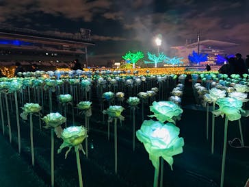 東京メガイルミに投稿された画像（2024/11/10）