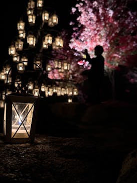 世羅高原農場に投稿された画像（2024/11/10）