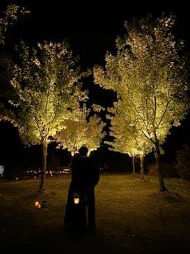 世羅高原農場に投稿された画像（2024/11/10）