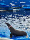 仙台うみの杜水族館に投稿された画像（2024/11/10）