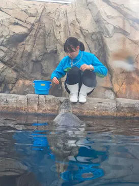 仙台うみの杜水族館に投稿された画像（2024/11/10）