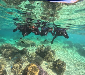 沖縄ダイビングショップシーモールに投稿された画像（2024/11/10）