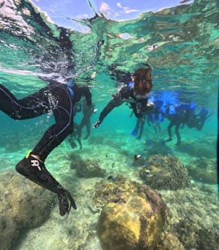 沖縄ダイビングショップシーモールに投稿された画像（2024/11/10）