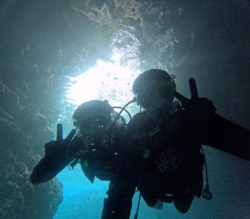 沖縄マリンサービス碧に投稿された画像（2024/11/10）