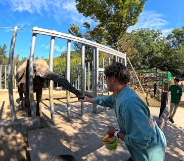 しろとり動物園に投稿された画像（2024/11/10）