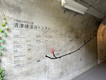 清津峡渓谷トンネルに投稿された画像（2024/11/10）