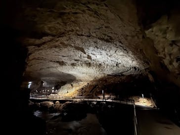 秋芳洞に投稿された画像（2024/11/10）