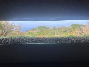 自然体感展望台 六甲枝垂れに投稿された画像（2024/11/10）