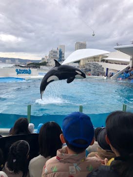 鴨川シーワールドに投稿された画像（2024/11/10）