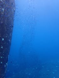 屋久島自然案内に投稿された画像（2024/11/10）