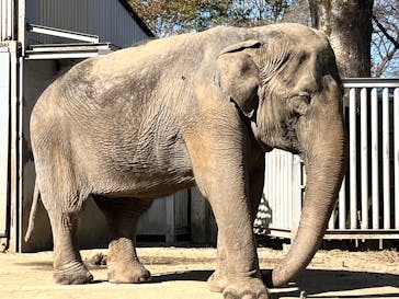 宇都宮動物園に投稿された画像（2024/11/10）