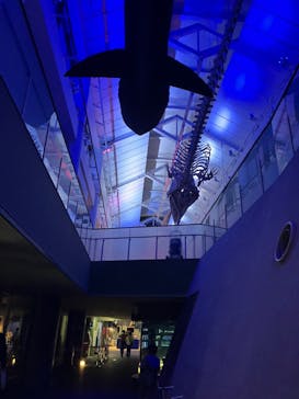 アクアワールド茨城県大洗水族館に投稿された画像（2024/11/10）