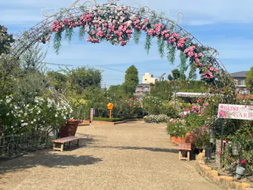 ひらかたパークに投稿された画像（2024/11/10）