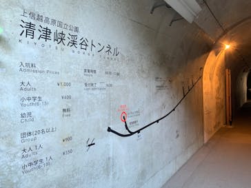 清津峡渓谷トンネルに投稿された画像（2024/11/10）