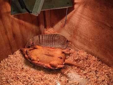 伊豆シャボテン動物公園に投稿された画像（2024/11/10）