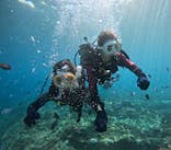 沖縄マリンサービス碧に投稿された画像（2024/11/10）