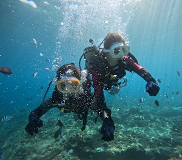 沖縄マリンサービス碧に投稿された画像（2024/11/10）