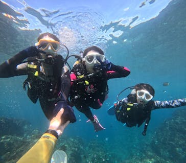 沖縄マリンサービス碧に投稿された画像（2024/11/10）