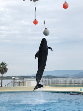 マリンワールド海の中道に投稿された画像（2024/11/10）