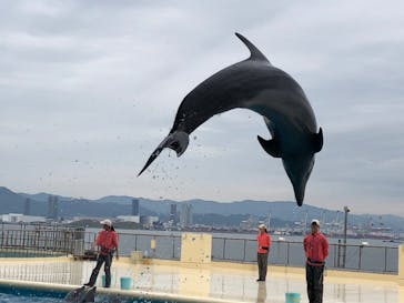 マリンワールド海の中道に投稿された画像（2024/11/10）