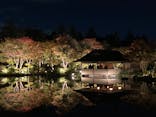 国営昭和記念公園 秋の夜散歩に投稿された画像（2024/11/10）