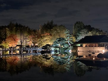 国営昭和記念公園 秋の夜散歩に投稿された画像（2024/11/10）